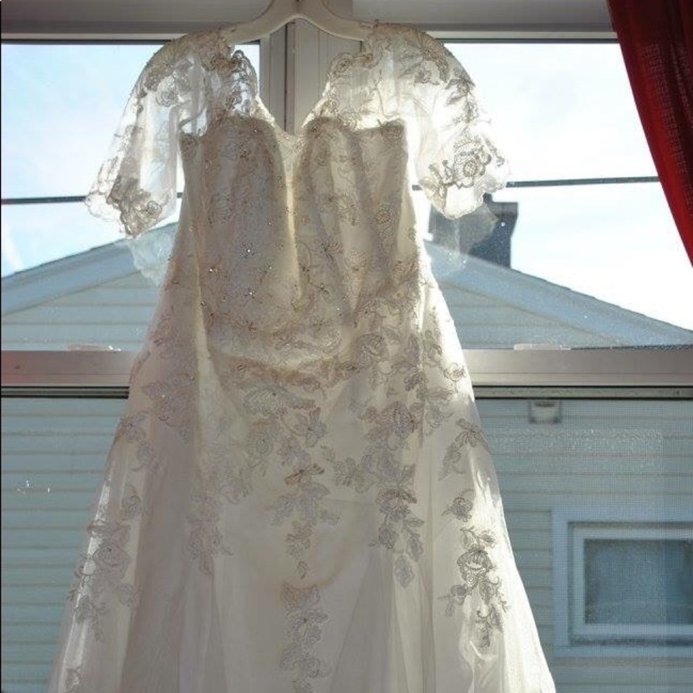 David’s Bridal Plus Size Wedding Dress